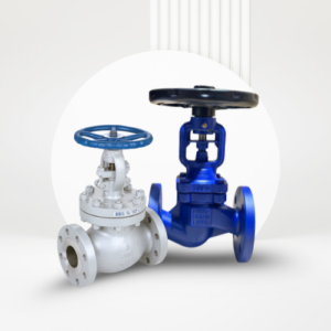Globe Valve